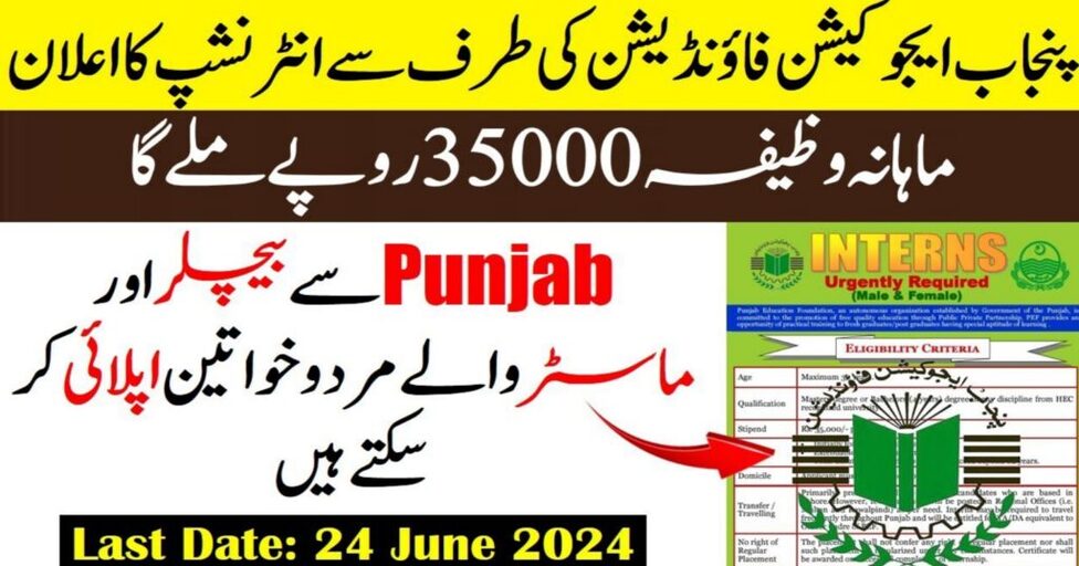 PEF Punjab Education Foundation Paid Internship Program 2024