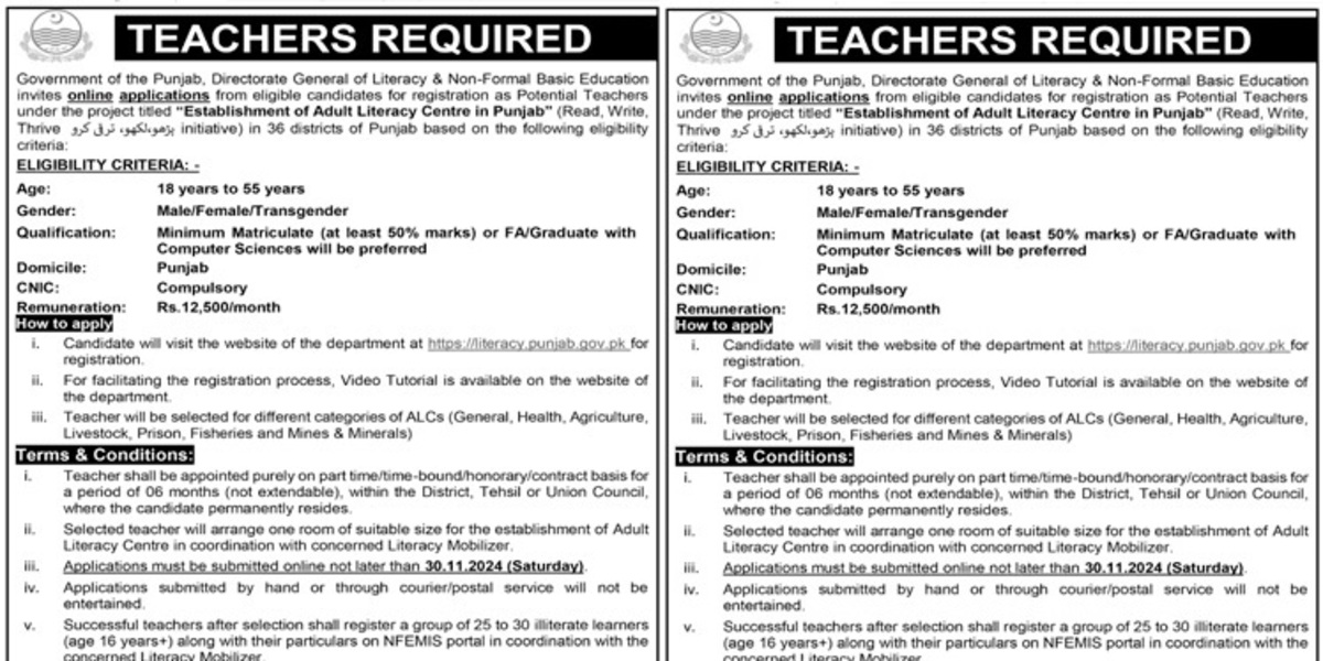 Punjab Literacy and Non Formal Education Jobs 2024 for Teachers