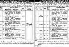 Forest Department Jobs 2024 Latest Advertisement