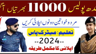Sindh Police Jobs 2024 Online Application form