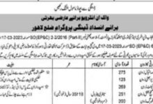 Lahore District Health Care jobs