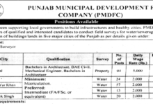 Punjab Municipal Development Company Jobs 2025