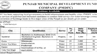 Punjab Municipal Development Company Jobs 2025