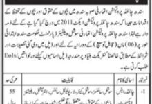 Child Protection Department jobs 2023