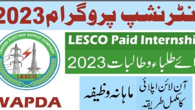 LESCO Internship Program 2023 for Students Online Apply