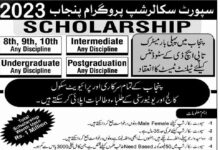 Support Scholarships Program Punjab 2023