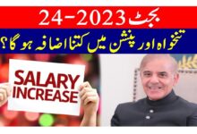 20% Salary Increase Expected in Federal Budget 2023-24