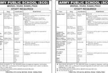 Army Public School Jobs 2023