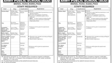 Army Public School Jobs 2023