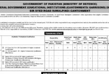 Educators Jobs 2023 at Federal Government Educational Institutes Online Apply