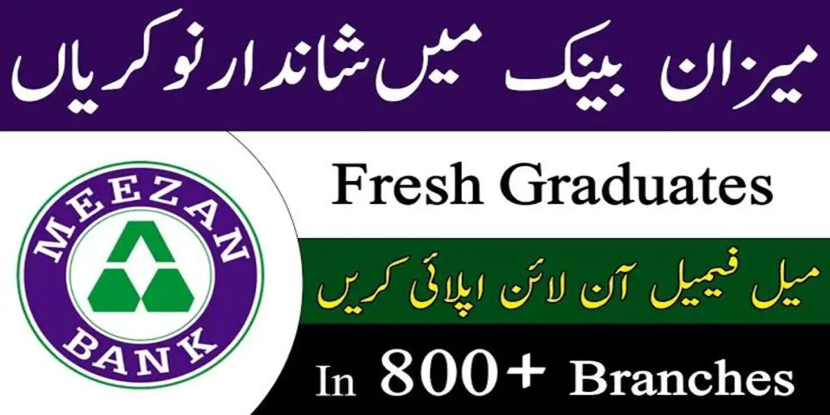 Meezan Bank Jobs for Fresh Graduates