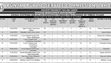 PPSC Canal Patwari Jobs 2023 Advertisement