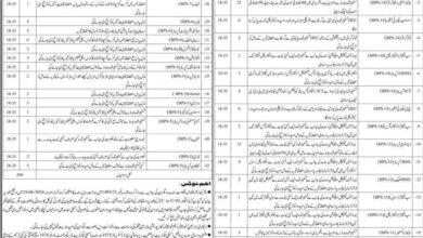 Sindh Assembly Jobs 2025 Advertisement