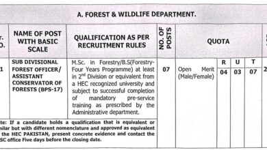 SPSC Jobs 2025 Advertisement No 1