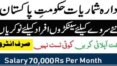 Bureau of Statistics Punjab Latest Jobs