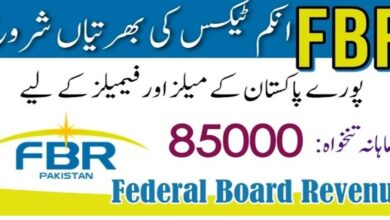 FBR Jobs 2024