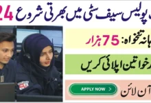 Punjab Safe Cities Authority PSCA Jobs 2024 Online Apply