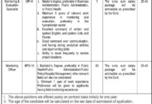 Healthcare Department Balochistan Jobs 2025