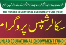 PEEF Scholarships 2023-24 Online Apply