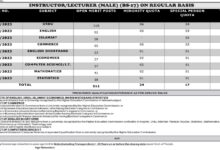 Lecturer Jobs in PPSC 2024 Online Apply