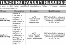 Margala Educational Institute Jobs for Teaching Staff Males & Females