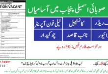 Punjab Assembly Jobs 2024