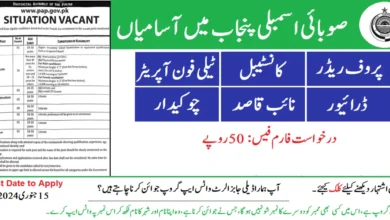 Punjab Assembly Jobs 2024