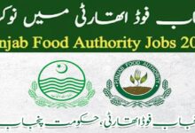 Punjab Food Authority Jobs 2024