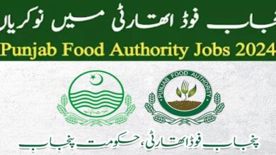 Punjab Food Authority Jobs 2024