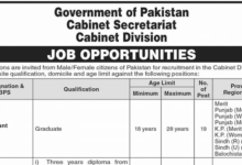 Cabinet Division Jobs in January 2024 Online Apply