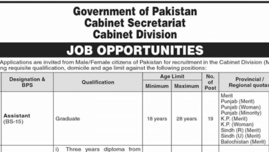 Cabinet Division Jobs in January 2024 Online Apply