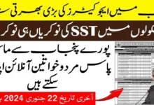 PPSC SST Jobs in January 2024 Online Apply