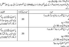 State Life Insurance Latest Jobs for 2024