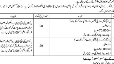 State Life Insurance Latest Jobs for 2024