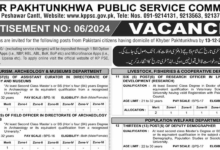 KPPSC Jobs 2024 Advertisement 06 2024 Online Apply