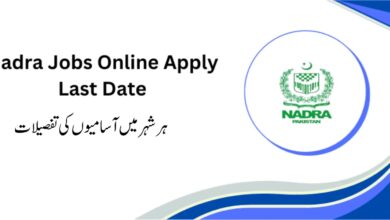 NADRA Jobs 2024 City Wise Details of Posts for Junior Executives