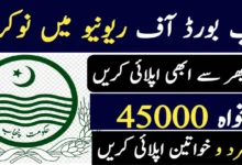 Punjab Revenue Authority Jobs 2024