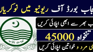 Punjab Revenue Authority Jobs 2024