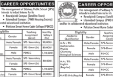 Siddeeq Public School Jobs 2025