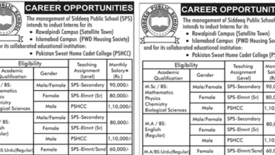 Siddeeq Public School Jobs 2025