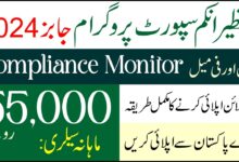 BISP Compliance Monitor Jobs 2024 Advertisement Online Apply