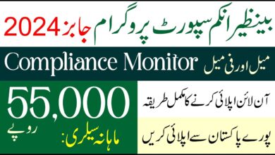 BISP Compliance Monitor Jobs 2024 Advertisement Online Apply