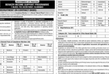 BISP Compliance Monitor Jobs 2026