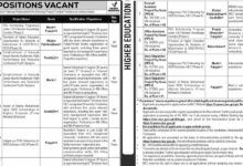 HEC Jobs 2025 Advertisement