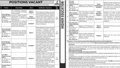 HEC Jobs 2025 Advertisement