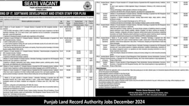 Punjab Land Record Authority PLRA Jobs 2024