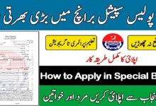 Punjab Police Speical Branch Jobs 2024 for April