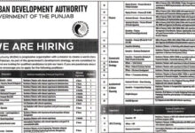 Ravi Urban Development Authority RUDA Jobs 2024