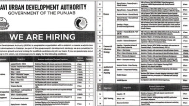 Ravi Urban Development Authority RUDA Jobs 2024