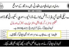 Ravi Urban Development Authority RUDA Jobs 2024 Latest Advertisement